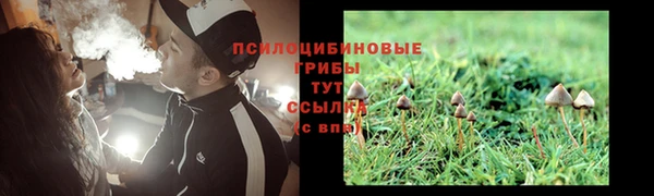 хмурый Белокуриха