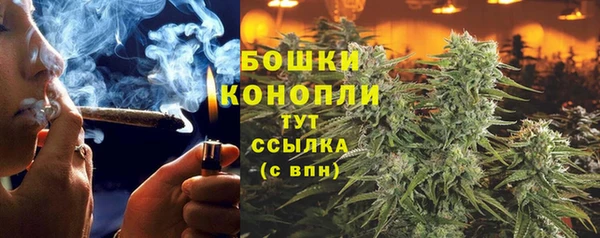 PSILOCYBIN Бугульма