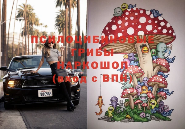 стафф Бронницы
