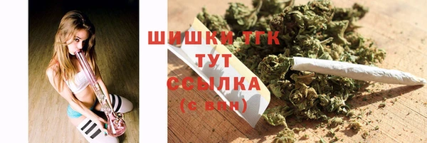 стафф Богородицк