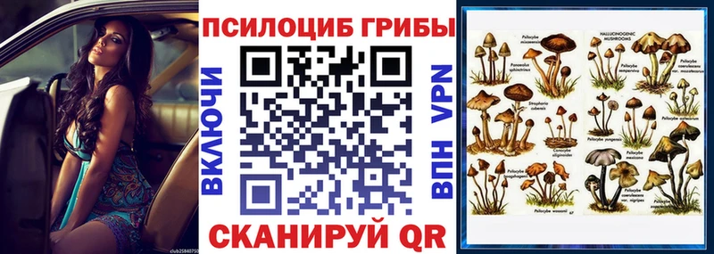 мориарти клад  Верхний Уфалей  Галлюциногенные грибы Magic Shrooms  что такое  